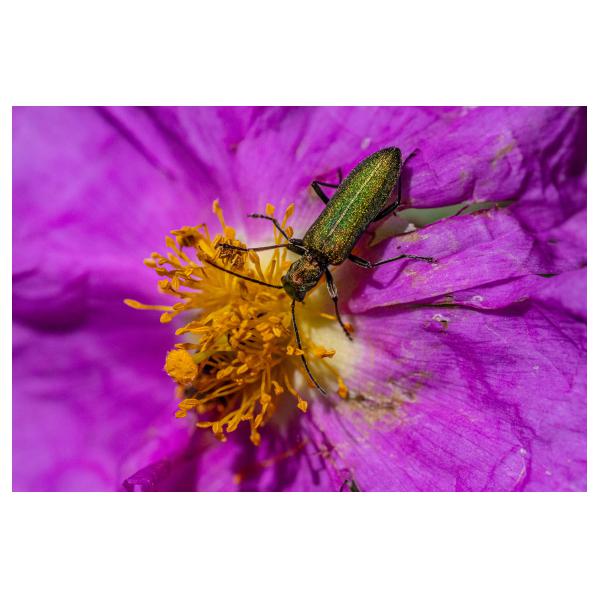 PHOTO84, CLUB, 84 , LUBERON